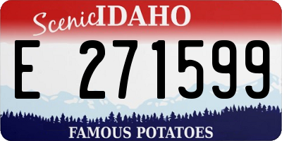 ID license plate E271599