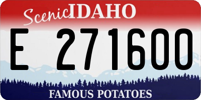 ID license plate E271600