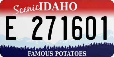 ID license plate E271601