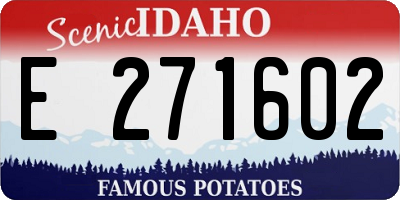 ID license plate E271602