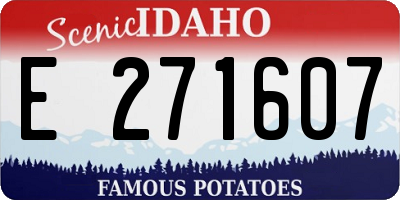ID license plate E271607