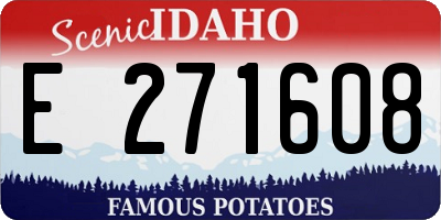 ID license plate E271608