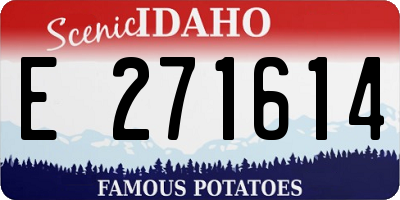 ID license plate E271614