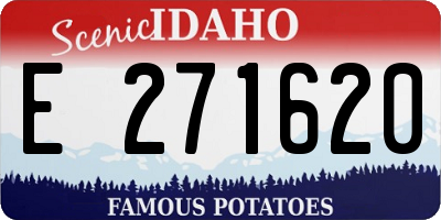ID license plate E271620