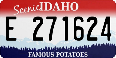 ID license plate E271624