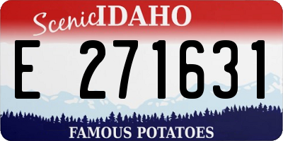 ID license plate E271631