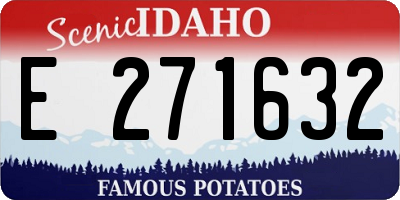 ID license plate E271632