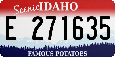 ID license plate E271635