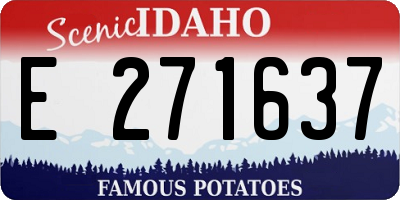 ID license plate E271637