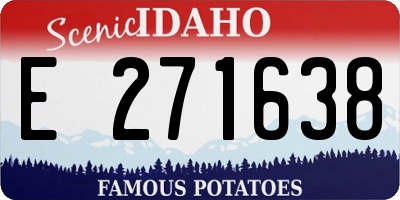 ID license plate E271638