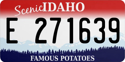ID license plate E271639