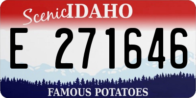 ID license plate E271646