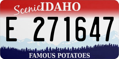 ID license plate E271647