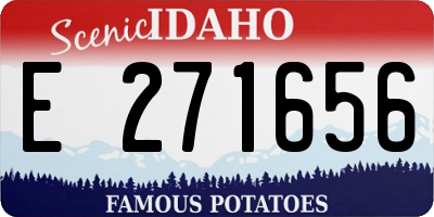 ID license plate E271656