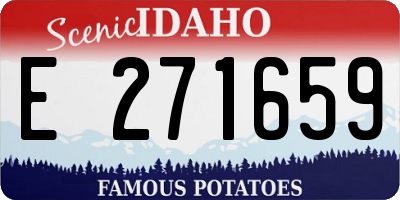 ID license plate E271659