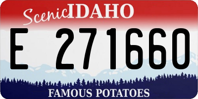 ID license plate E271660