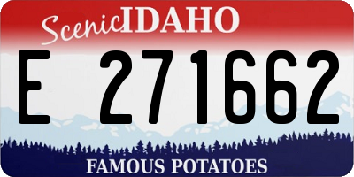 ID license plate E271662