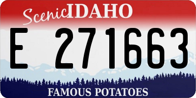 ID license plate E271663