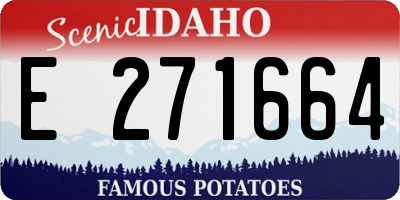ID license plate E271664