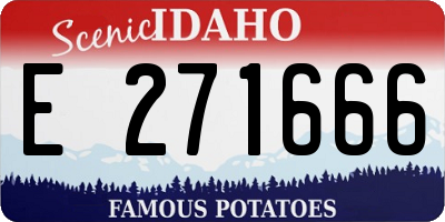 ID license plate E271666