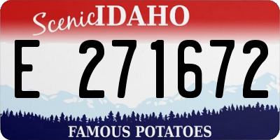 ID license plate E271672