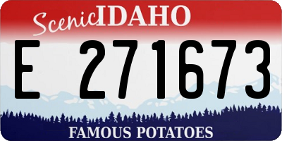 ID license plate E271673