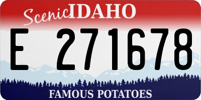 ID license plate E271678