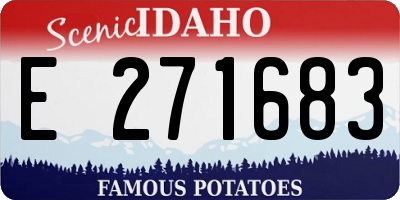 ID license plate E271683
