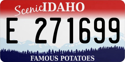 ID license plate E271699