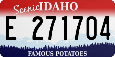 ID license plate E271704