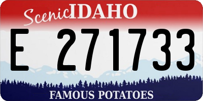 ID license plate E271733
