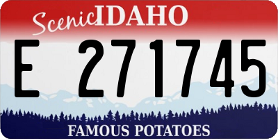 ID license plate E271745