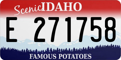 ID license plate E271758
