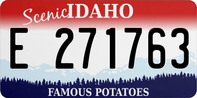ID license plate E271763