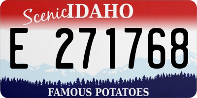 ID license plate E271768