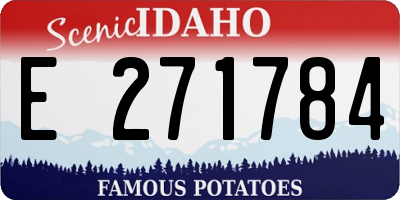 ID license plate E271784
