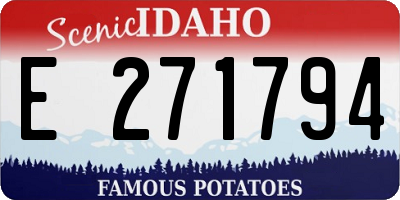 ID license plate E271794