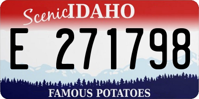 ID license plate E271798