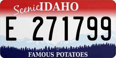 ID license plate E271799