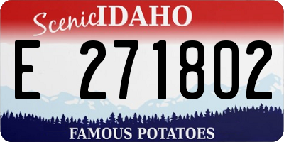 ID license plate E271802