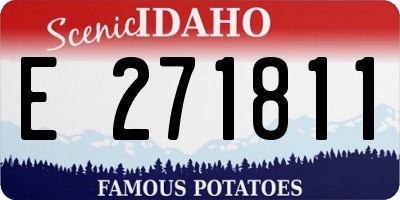 ID license plate E271811