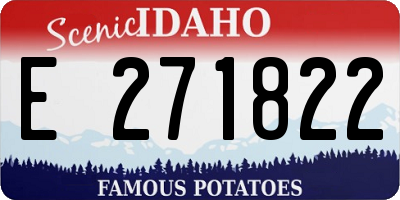 ID license plate E271822