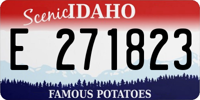 ID license plate E271823