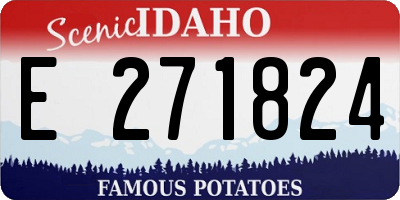 ID license plate E271824