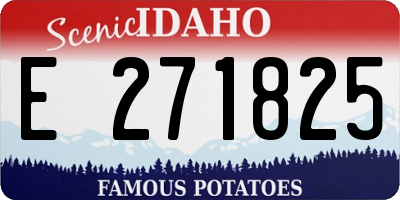 ID license plate E271825