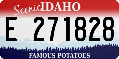 ID license plate E271828