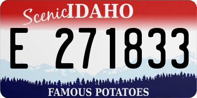 ID license plate E271833