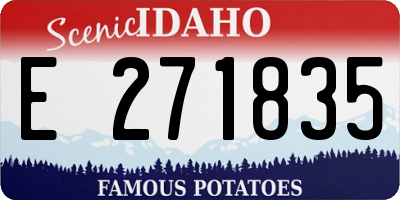 ID license plate E271835