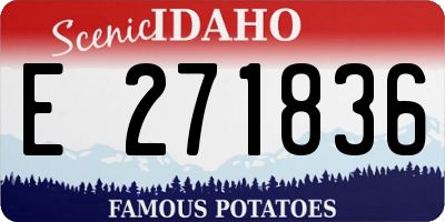 ID license plate E271836