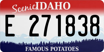 ID license plate E271838